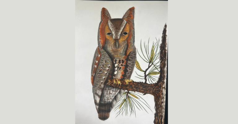 Oxford Arts Alliance Student Art Show 2026